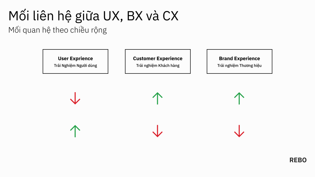 Mối quan hệ trải nghiệm theo chiều rộng