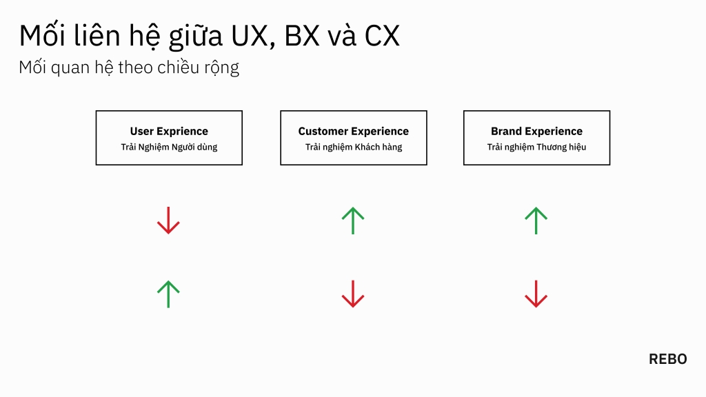 Mối quan hệ trải nghiệm theo chiều rộng